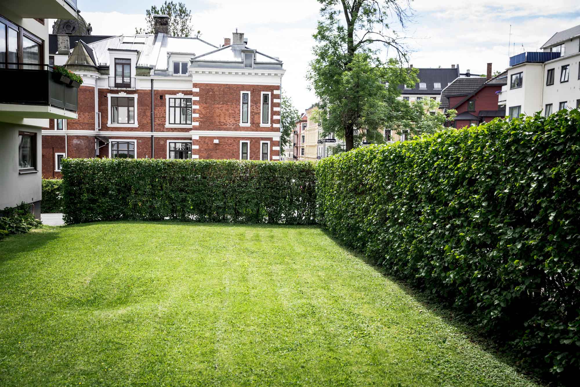 Grønn plen og hekk foran villa i Oslo